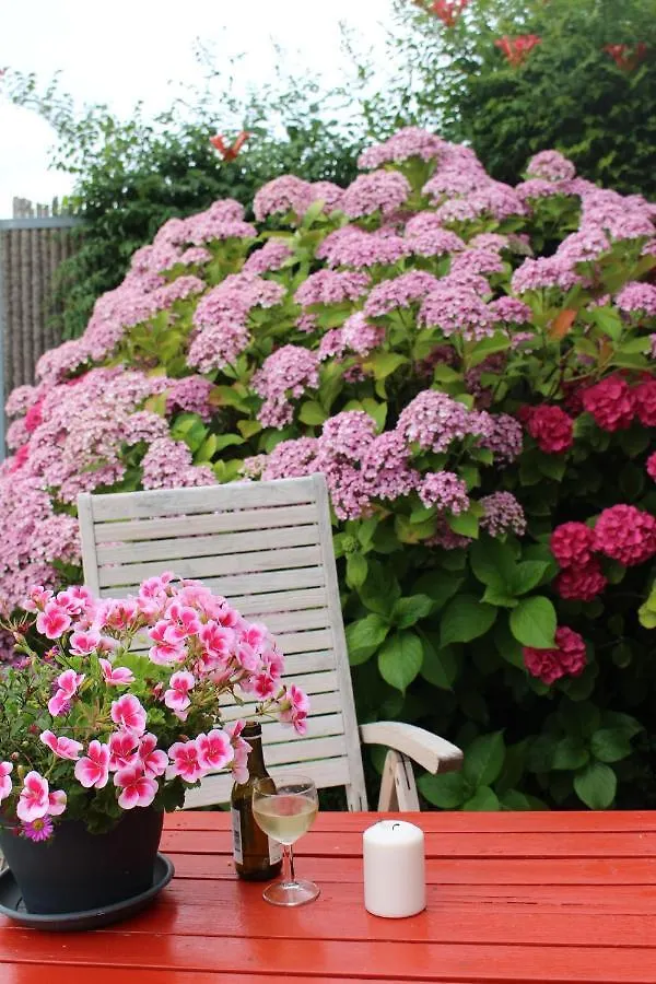 Bed & Breakfast Holiday Home Landelijk Amsterdam Paesi Bassi
