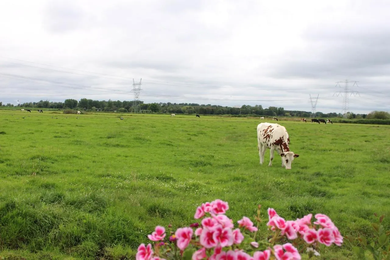 Bed & Breakfast Holiday Home Landelijk Amsterdam Paesi Bassi